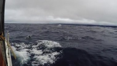Yatçılık yürümek bulutlu havalarda Rüzgar. Bir sürü bir yelkenli yat, pov Yüzme yunuslar
