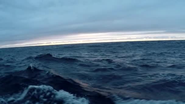 Djupa blå havet, ocean i molnigt väder, skytte från en båt som flyter bland vågorna — Stockvideo