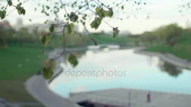 Красивий краєвид паркової зони зі ставком і набережною влітку в похмуру погоду — стокове відео