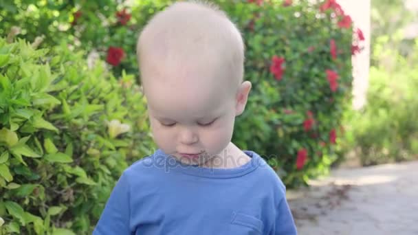 Portrait d'un mignon petit garçon joyeux marchant le long de ruelle de magnifiques arbres verts, au ralenti 