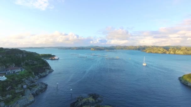 Helikoptertur över naturliga fiskodlingen mitt i havet, antenn skott, ovanifrån — Stockvideo