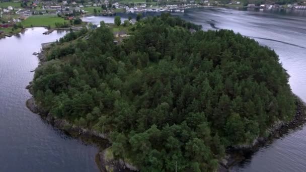 Vue aérienne. Magnifique forêt verte épaisse sur une île au milieu de la mer. Belle vallée .