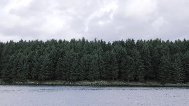 Mar em câmera lenta, lagoa, no fundo densa floresta com árvores altas e céu nublado. Tiro estático — Vídeo de Stock