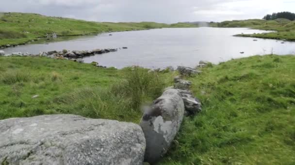 Acércate a un pequeño lago en un clima lluvioso y sombrío. POV disparó. Alguien, algo avanzando hacia el estanque — Vídeo de stock