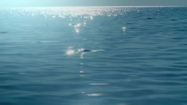 Superfície lisa calma lindo de mar puro claro sem fim cercado por luz solar natural — Vídeo de Stock