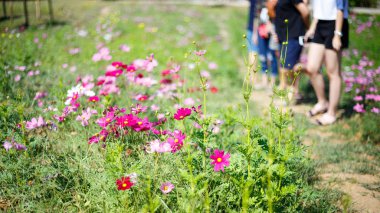 İnsanlar içinde belgili tanımlık bahçe seyahat
