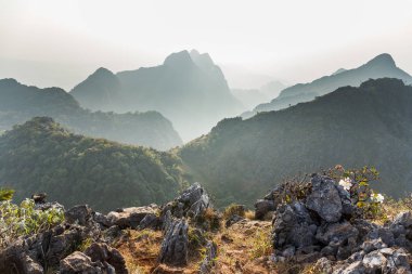 Chiang Dao milli park peyzaj
