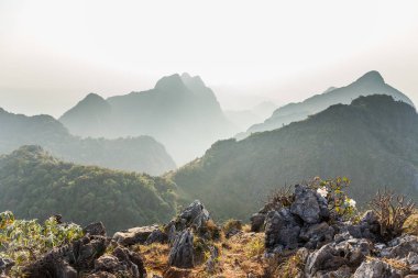 Chiang Dao milli park peyzaj