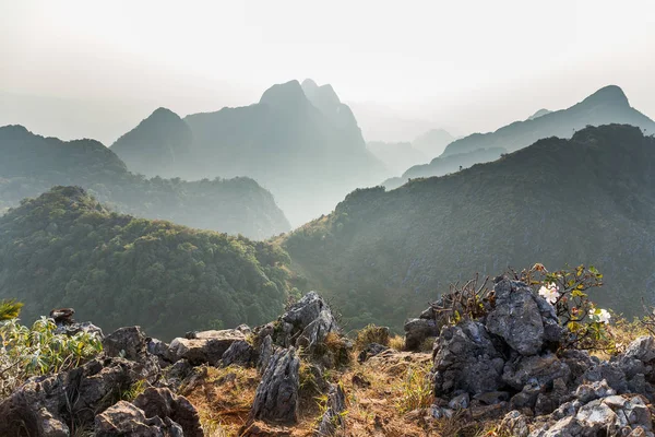 Chiang Dao milli park peyzaj