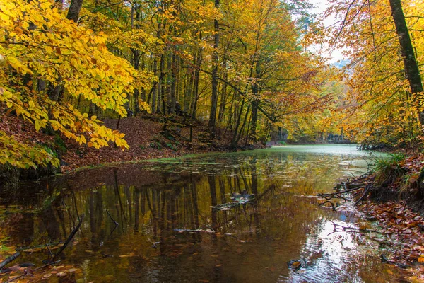 Autumn Landscape. Autumn trees and lake reflection — Stock Photo, Image