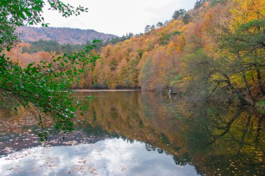 Sonbahar manzara. Sonbahar ağaçlar ve göl yansıma