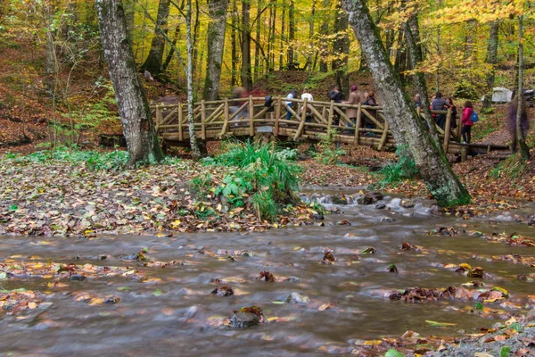Ahşap köprü sonbahar parkta sonbahar sezon kavramı