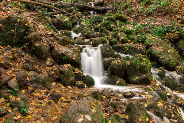 Nehir ile sonbahar landcape şelale