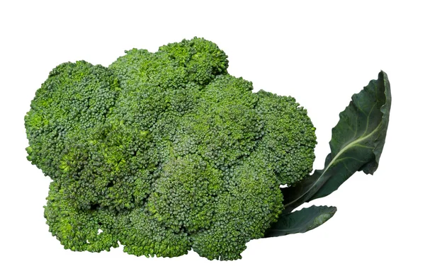 Brokuły, izolowana na białym tle z bliska. — Zdjęcie stockowe