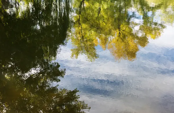 Natürlicher Hintergrund, der sich im Wasserbaum im Park widerspiegelt. — Stockfoto