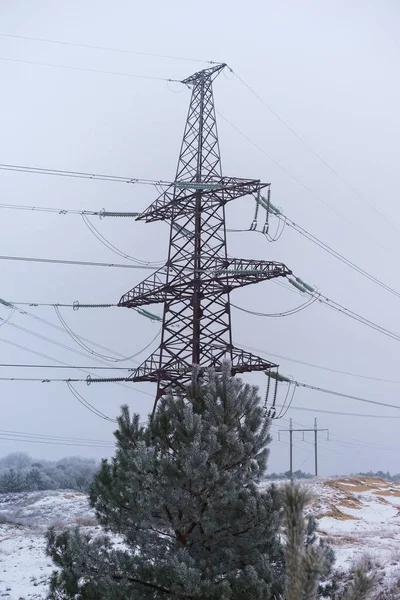 electricity transmission pylon at city suburb against the sunset glow sky.