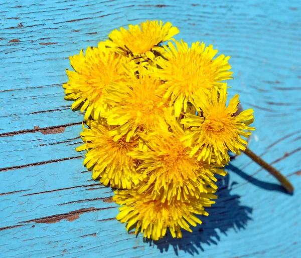 Maskros blommor på trä bakgrund — Stockfoto