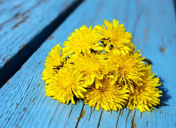 Marguerites jaunes sur fond de bois bleu . — Photo