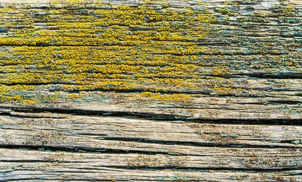 Texture di fondo in legno vintage con nodi e fori per unghie. — Foto Stock