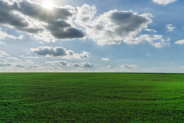 Campo verde e cielo blu. — Foto Stock