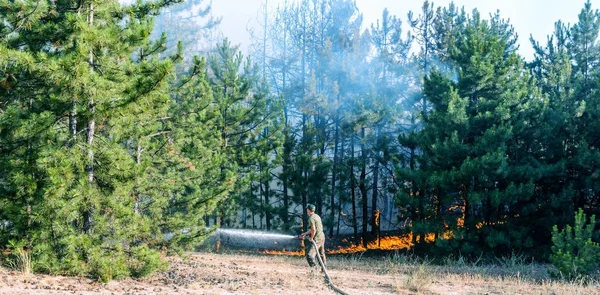 Lesní Požár Spálil Stromy Lesních Požárů Spousta Kouře — Stock fotografie