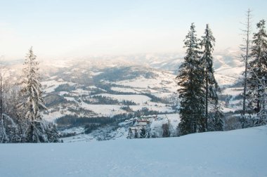 kış orman ve dağ zirveleri