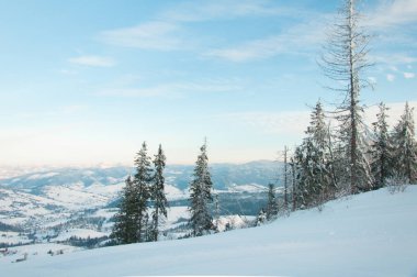 kış orman ve dağ zirveleri