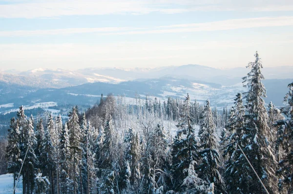 Forêt d'hiver et sommets montagneux — Photo