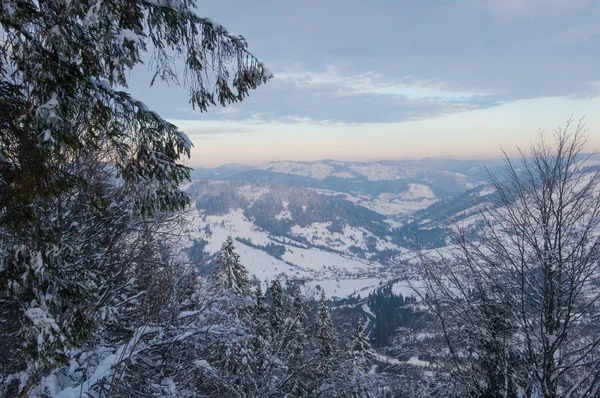 Forêt d'hiver et sommets montagneux — Photo