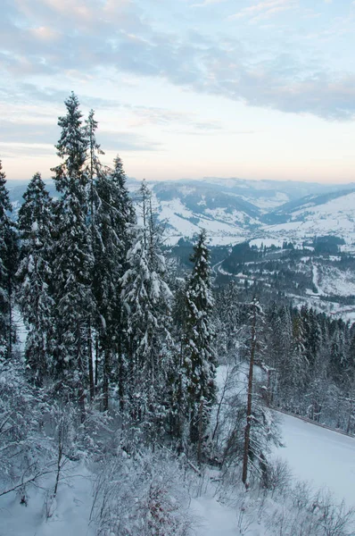 Floresta de inverno e picos de montanha — Fotografia de Stock