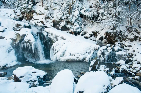 在喀尔巴阡山冬季瀑布 — 图库照片