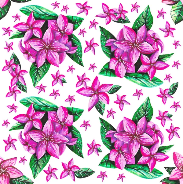 白色背景的粉色热带花 — 图库照片