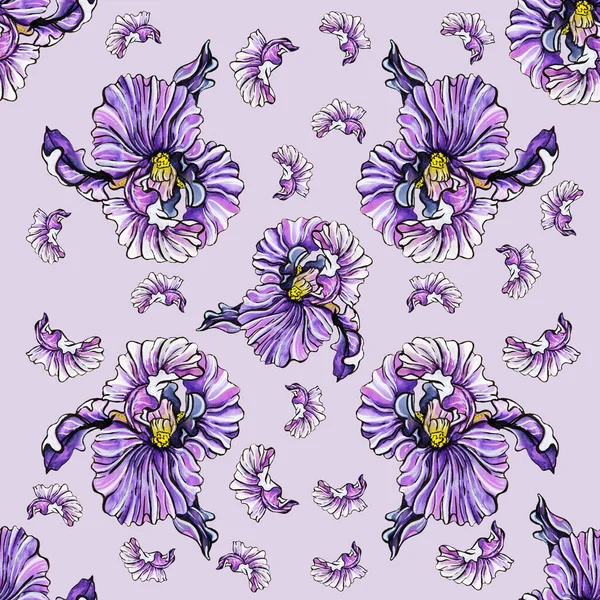Pattern Lilac Iris Flowers Purple Background — Stock Photo, Image