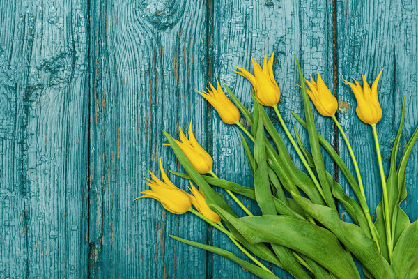 Tulips on a wooden background, Easter, the Mothers Day