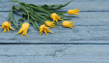 Ahşap zemin, Paskalya, anneler günü üzerine sarı ulips