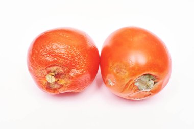 Üzerinde izole kırmızı domates, kalıplanmış