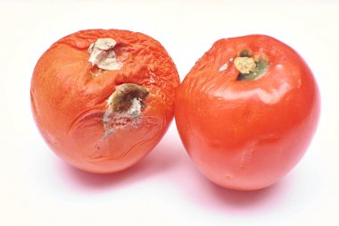Üzerinde izole kırmızı domates, kalıplanmış