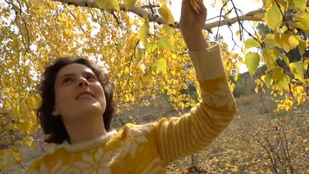 Mladá krásná brunetka shromažďuje žluté listy stromu. Zpomalený pohyb. — Stock video