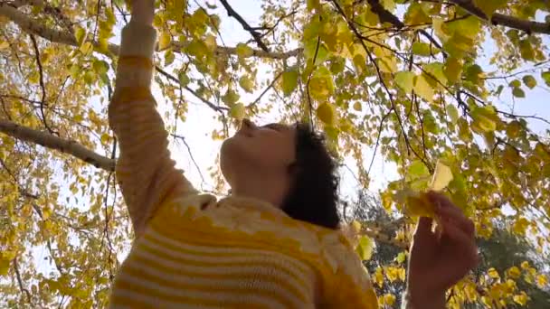 Jeune belle fille brune recueille feuilles jaunes de l'arbre. Mouvement lent . — Video