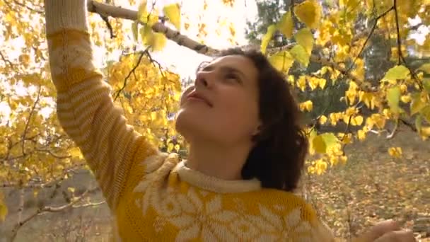Όμορφη μελαχρινή κοπέλα συλλέγει κίτρινα φύλλα του δέντρου. Αργή κίνηση. — Αρχείο Βίντεο