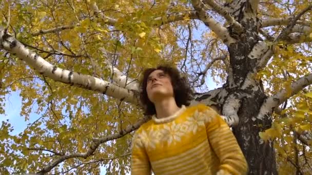 Όμορφο κορίτσι ρίχνει τα κίτρινα φύλλα του δέντρου. Αργή Motion.outdoors φθινόπωρο του ήλιου — Αρχείο Βίντεο