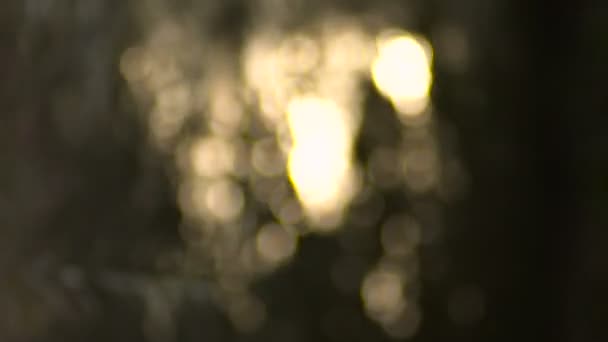 Golden Bokeh Reflexões sobre a água um fundo escuro — Vídeo de Stock