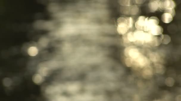 Gouden Bokeh reflecties op het Water een donkere achtergrond — Stockvideo