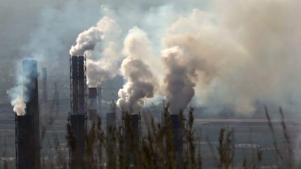 Pflanzen Hintergrund einer großen Fabrik Rauchpfeifen — Stockvideo
