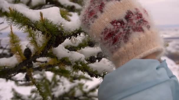 Arbre de Noël décoré dans une forêt à mains féminines 