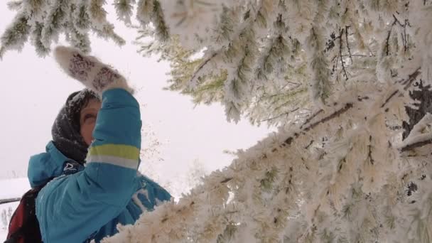 Vrolijke vrouw schudt uit de sneeuw van de takken Slow-Motion — Stockvideo