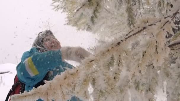 Vrolijke vrouw schudt uit de sneeuw van de takken Slow-Motion — Stockvideo