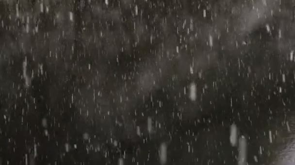 Grands flocons de neige tombent lentement sur un fond sombre — Video