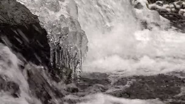 Icicles on a Mountain Stream in Winter Close up — Stock Video