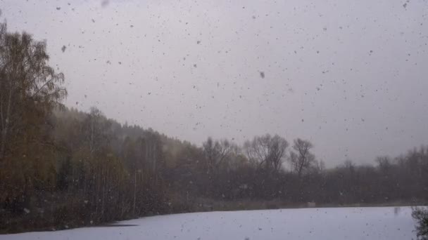 Sneeuwval op de achtergrond van bevroren River Forest — Stockvideo